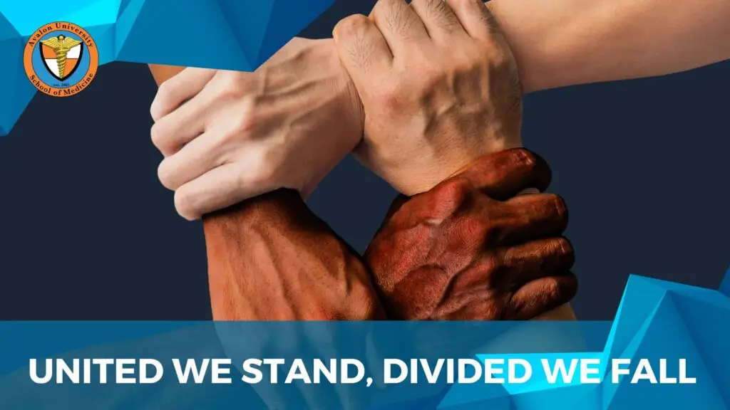 United We Stand Divided We Fall